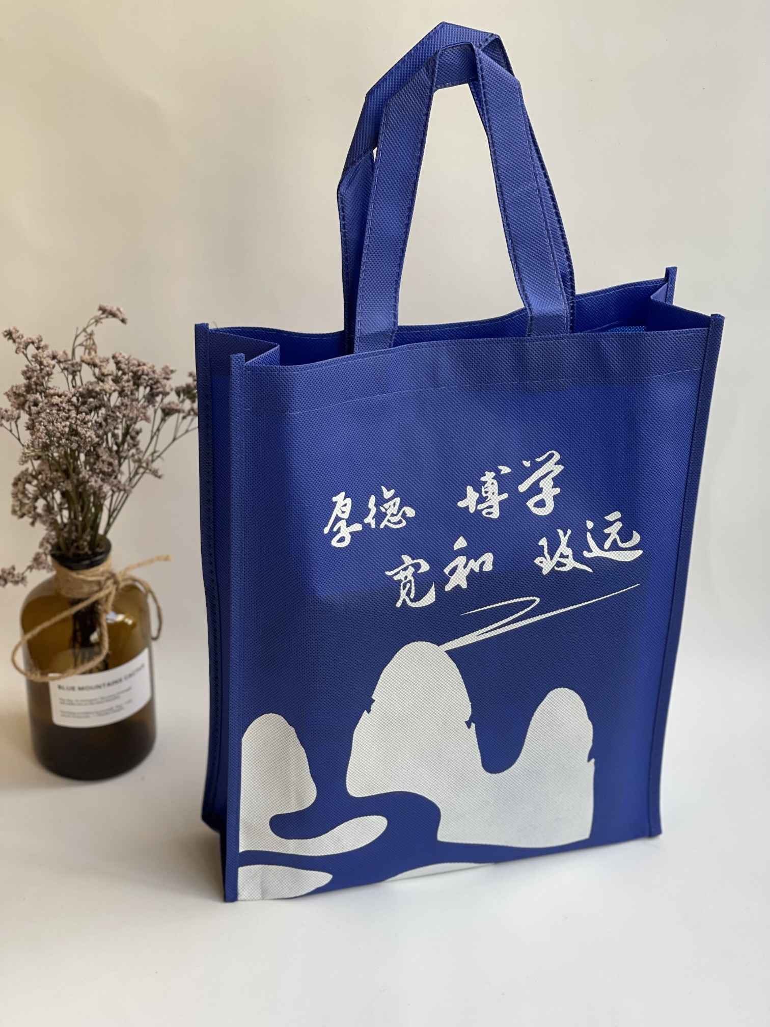 教育學(xué)校無(wú)紡布環(huán)保袋